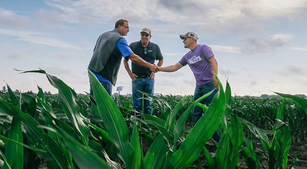 K-State TAPS shaking hands with producers in a corn field.