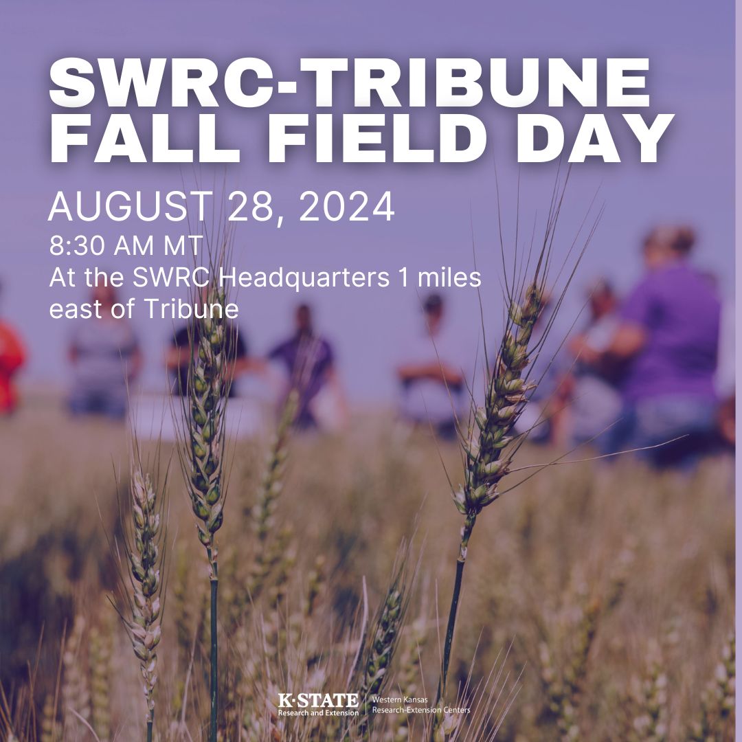 graphic for the Tribune fall field day