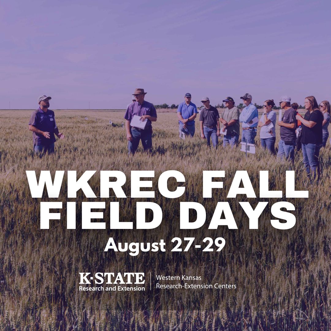 Graphic for field days